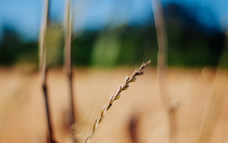 ������Ȧ�ᱻ�����޵ĸ�Ц�İ�