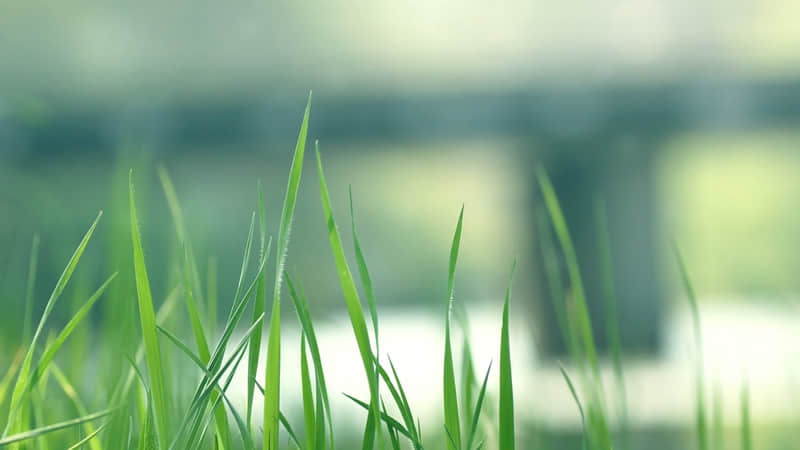 新的一天发个特别的朋友圈太治愈啦_wishdown.com 新的一天发个特别的朋友圈太治愈啦_wishdown.com