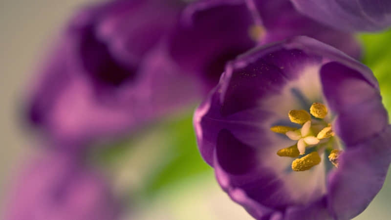 新的一天发个特别的朋友圈太治愈啦_wishdown.com 新的一天发个特别的朋友圈太治愈啦_wishdown.com