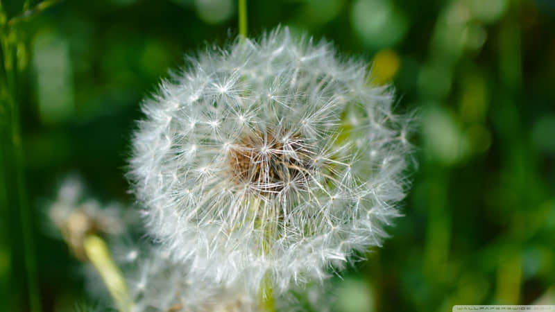 成熟女人朋友圈这样发没人敢随意拿捏你_wishdown.com 成熟女人朋友圈这样发没人敢随意拿捏你_wishdown.com