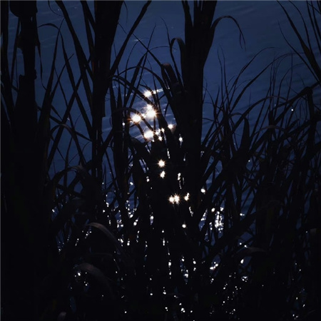 �����ĵ�����Ů������(��ѡ100��)