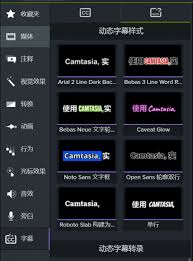 动态花字字幕效果是什么_wishdown.com 动态花字字幕效果是什么_wishdown.com