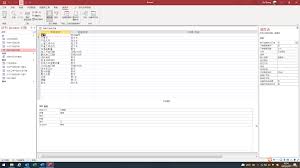 access�����������ͼ�����ֶ����ݸ�ʽ