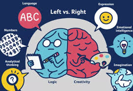 左右脑倾向测验网址入口在哪_wishdown.com 左右脑倾向测验答题示意