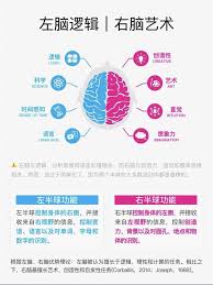 左右脑倾向测验网址入口在哪_wishdown.com 左右脑倾向测验页面示意