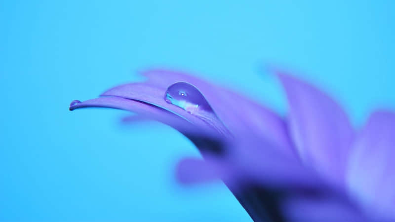 �����˺þõ�����Ȧ�İ�  .