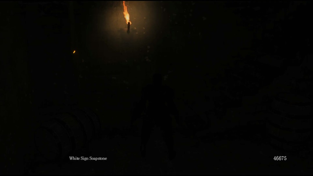 《黑暗之魂》RTX Remix路径追踪MOD正开发中_wishdown.com 《黑暗之魂》RTX Remix路径追踪MOD正开发中_wishdown.com