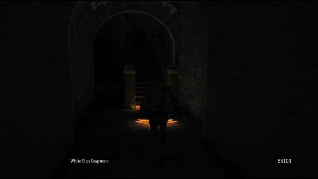 《黑暗之魂》RTX Remix路径追踪MOD正开发中_wishdown.com 《黑暗之魂》RTX Remix路径追踪MOD正开发中_wishdown.com