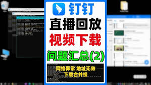 ����ֱ���޷�������ô��