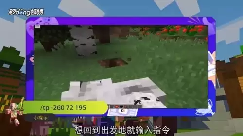 我的世界传送坐标格式是什么_wishdown.com 我的世界传送坐标格式是什么_wishdown.com