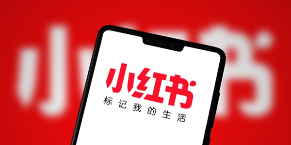 小红书网页版极速登录入口_wishdown.com 小红书网页版登录快捷通道-小红书网页版扫码登录免密进入