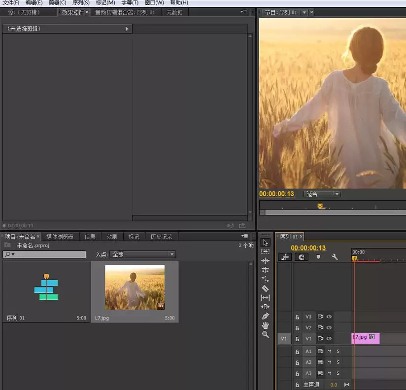 premiere怎么给视频添加杂色效果_wishdown.com premiere怎么给视频添加杂色效果_wishdown.com
