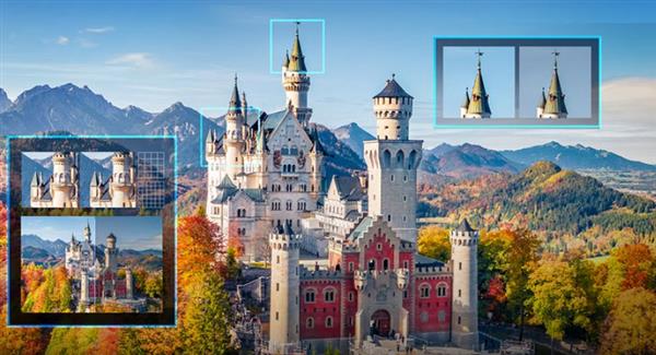 ��԰����م������Ǹ�������  2026����ѡ����ܿ�ָ��