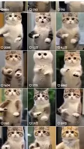 ����ai�������aiè������Ƶ