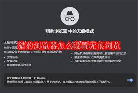 猎豹浏览器无痕浏览怎么用_wishdown.com 猎豹浏览器无痕浏览怎么用_wishdown.com