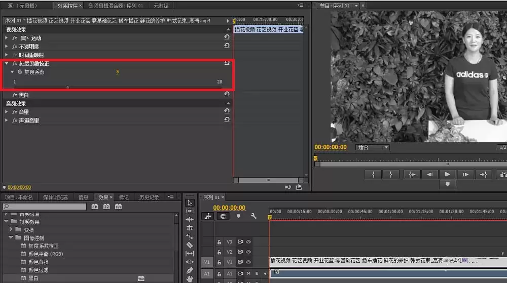 premiere怎么给视频去色_wishdown.com premiere怎么给视频去色_wishdown.com