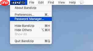Bandizip怎么给密码管理器设置主密码_wishdown.com Bandizip怎么给密码管理器设置主密码
