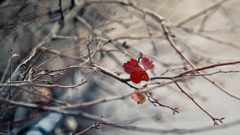 偷一句太治愈了2026很喜欢的朋友圈文案_wishdown.com 偷一句太治愈了2026很喜欢的朋友圈文案_wishdown.com