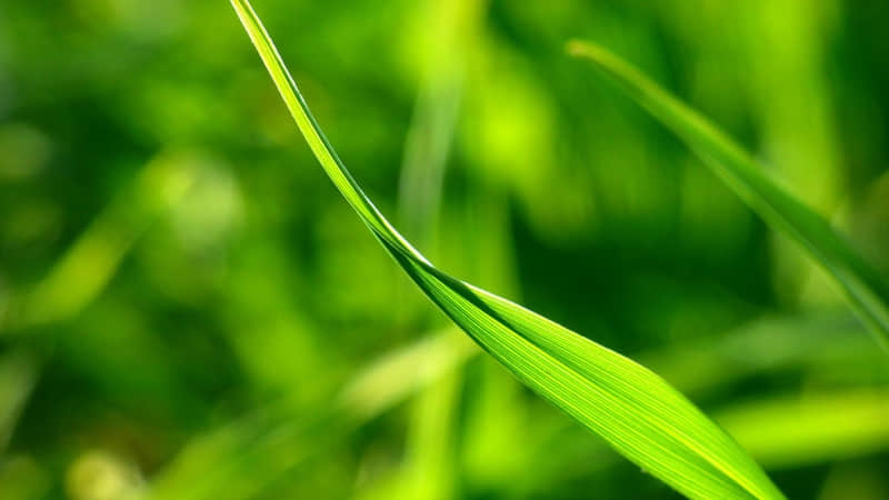 偷一句太治愈了2026很喜欢的朋友圈文案_wishdown.com 偷一句太治愈了2026很喜欢的朋友圈文案_wishdown.com