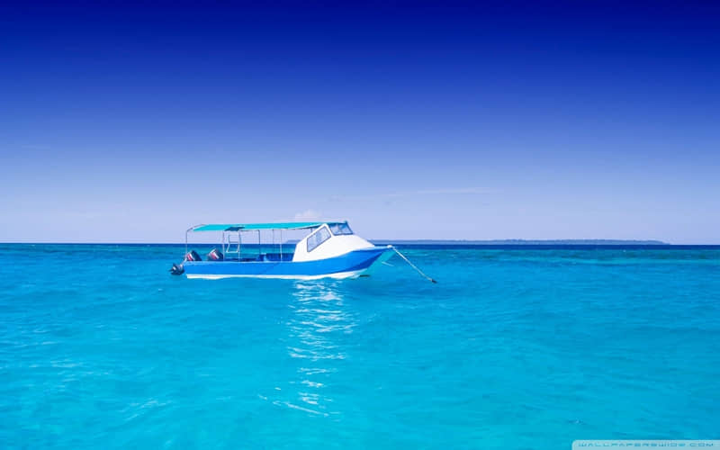 偷一句太治愈了2026很喜欢的朋友圈文案_wishdown.com 偷一句太治愈了2026很喜欢的朋友圈文案_wishdown.com