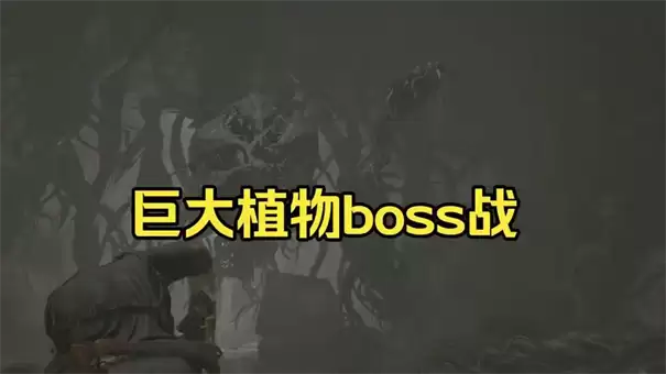 ����Σ��9������43��ֲ����ô��