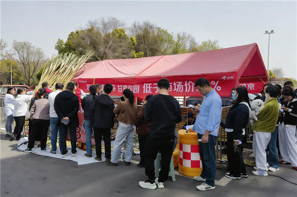 两日售出超3万斤 助农甘蔗在京东折扣超市卖爆了!_wishdown.com 两日售出超3万斤 助农甘蔗在京东折扣超市卖爆了!_wishdown.com