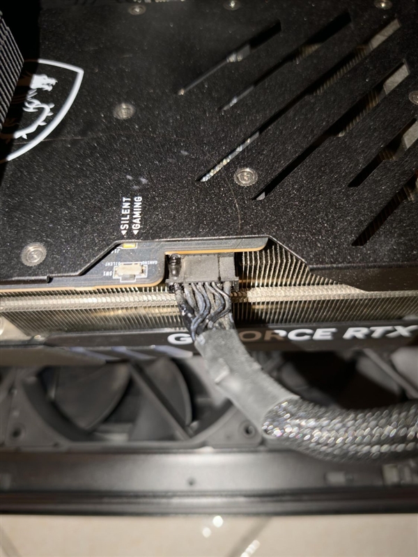 一只猫及时发现RTX 4090显卡烧毁冒烟:救了主人一命!_wishdown.com 一只猫及时发现RTX 4090显卡烧毁冒烟:救了主人一命!_wishdown.com