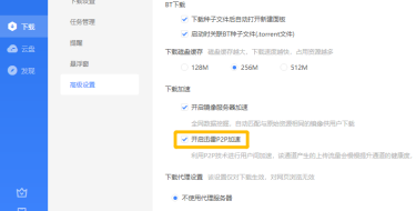迅雷11怎么开启迅雷P2P加速功能_wishdown.com 迅雷11怎么开启迅雷P2P加速功能_wishdown.com