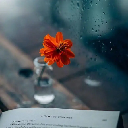 网名伤感怎么释怀的女生(精选100个)_wishdown.com 网名伤感怎么释怀的女生(精选100个)_wishdown.com