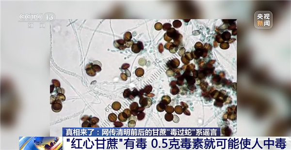 �������ᡰ�����ߡ�����������