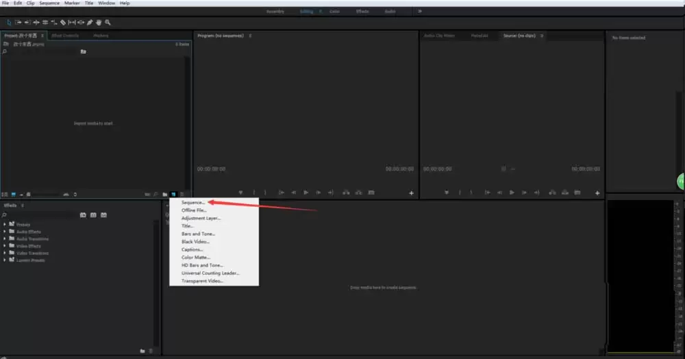 premiere2019��ô��ƿɰ����ǹ�����-��ƿɰ����ǹ��������ϸ�������