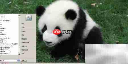 WinServer2008无线网卡驱动更新_wishdown.com 系统工具中的控制面板选项