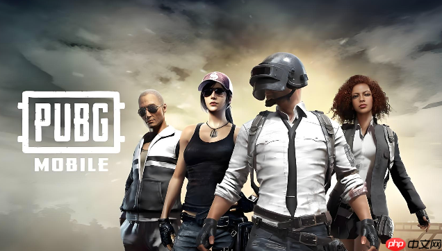 pubg官网入口2026最新_wishdown.com
