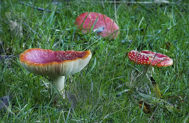 �����������ɡɡ��������