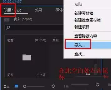 premiere视频怎么添加光源闪烁的效果-添加光源闪烁的效果的详细步骤_wishdown.com 导入视频素材