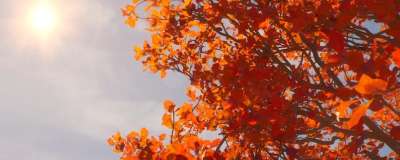 �������������ؾۡ���ֳɾͽ���ָ��-����Ů�������ߵ�����ɾͻ�ȡ����