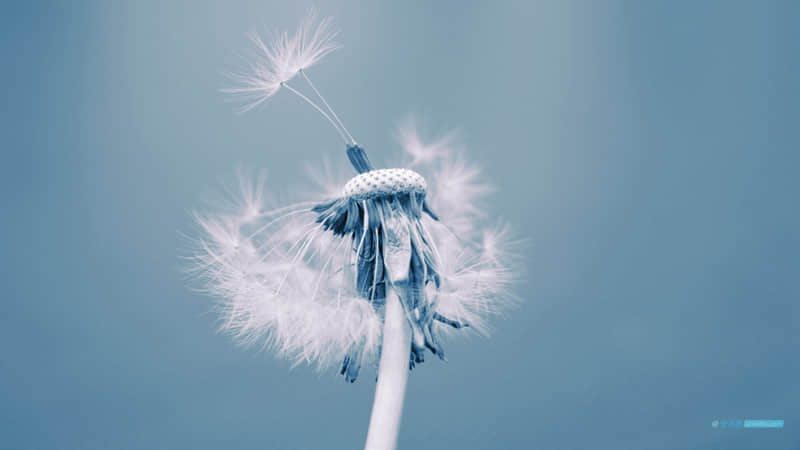 ������ÿ��������,��Ҫ������