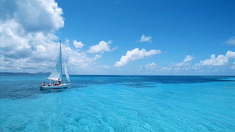 偷一句去笑颠你的朋友圈_wishdown.com 偷一句去笑颠你的朋友圈_wishdown.com