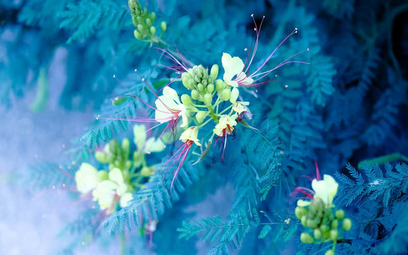 "��������������Ȧͨ͸���İ�"