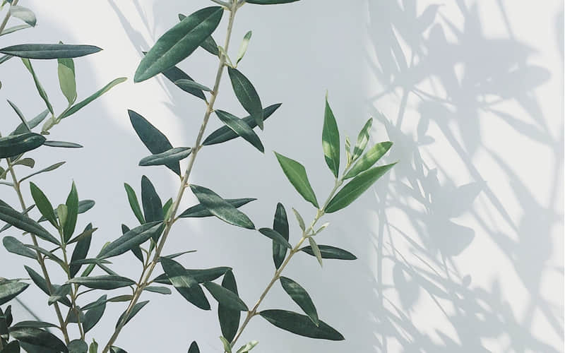 翻篇吧没缘分_wishdown.com 翻篇吧没缘分_wishdown.com