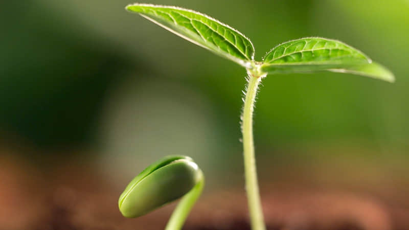 ����һ�й�ϵͻȻ����"