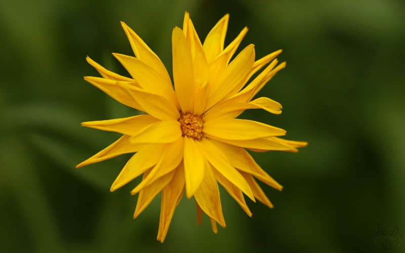 ������ĳ�˿��˿��˾ͺ����۵��İ�