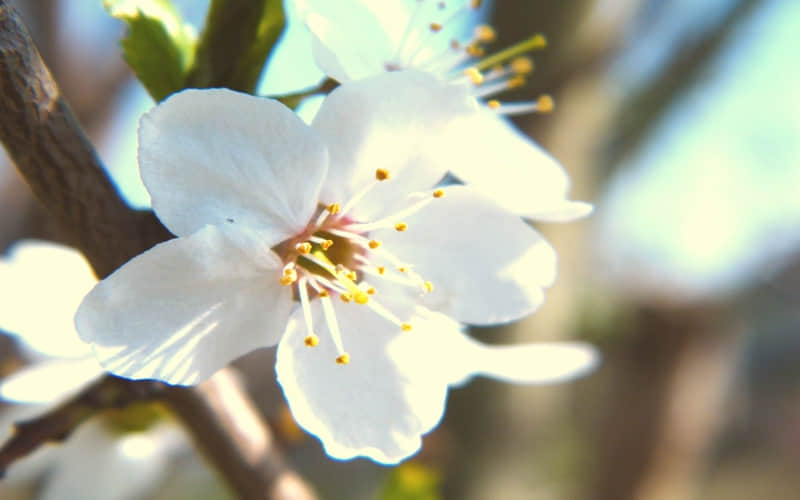 ���������ȴ���������繣