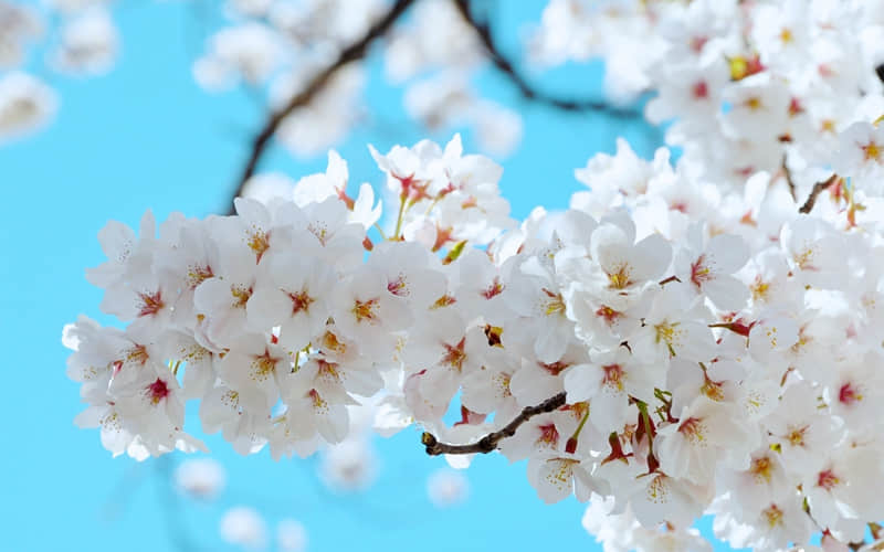 男人的通病你越这样他反而更爱你_wishdown.com 男人的通病你越这样他反而更爱你_wishdown.com