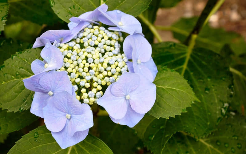 朋友圈近期很火的 我嘛 文案_wishdown.com 朋友圈近期很火的 我嘛 文案_wishdown.com