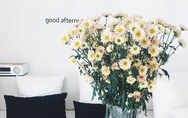 "你越淡人越顺"_wishdown.com "你越淡人越顺"_wishdown.com