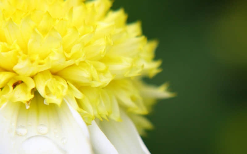 �Һ�������������Ǹ�����Ҫ����