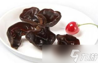 �ϲ��㹽�ȸɻ��б�������