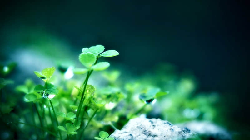 ��8+1�߼�һ����ô˵