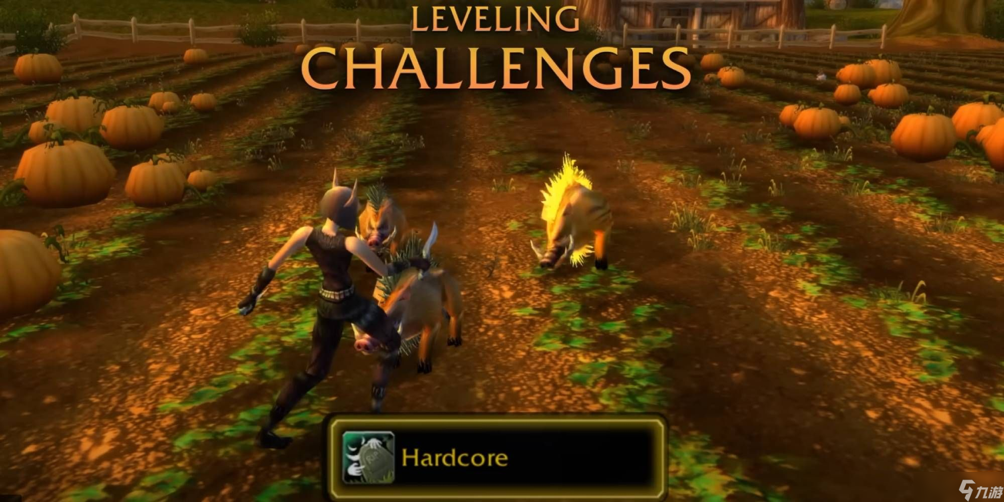 TurtleWoW ���ߺ��յ�����֪ͨ